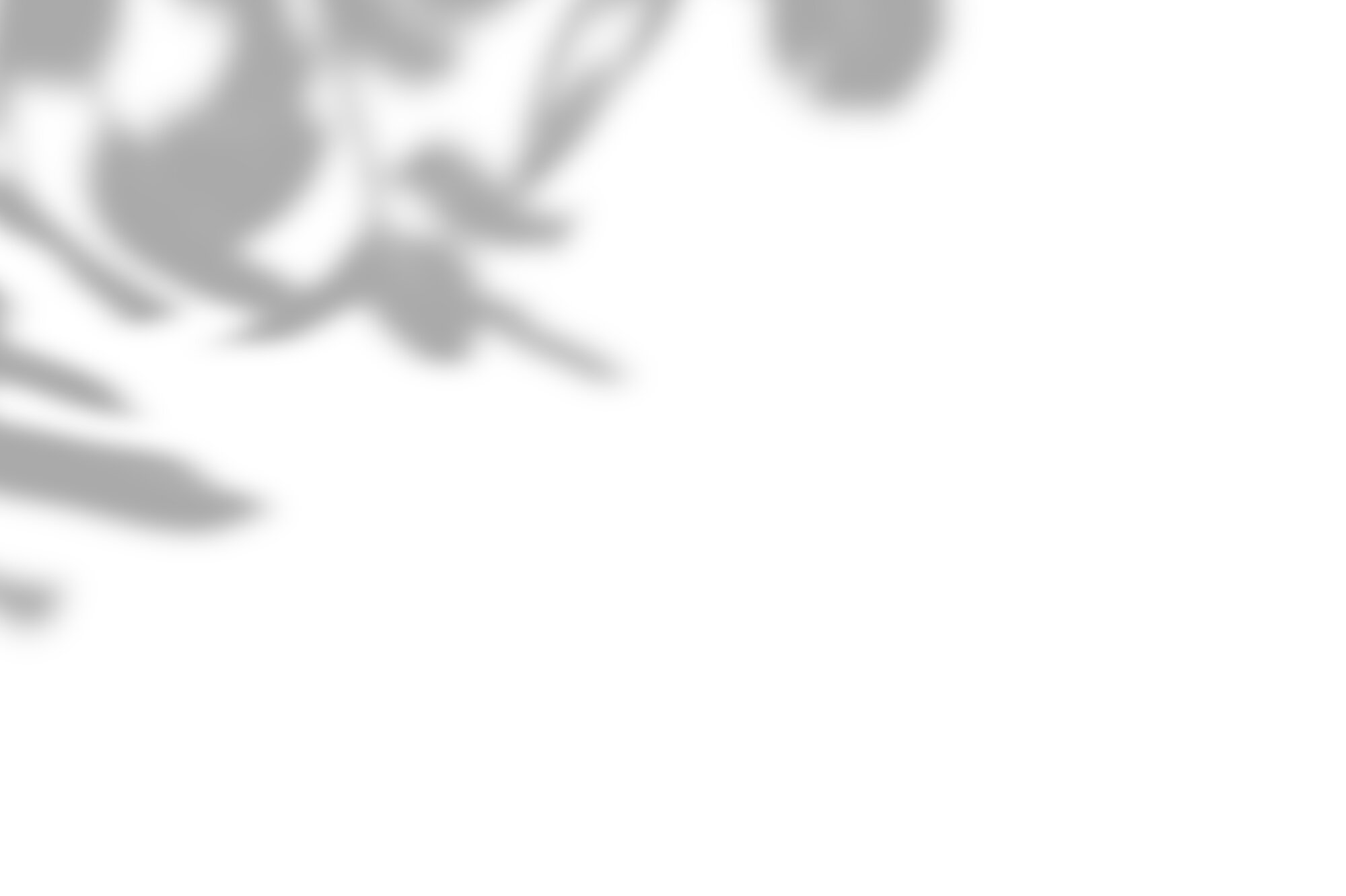 02-Banner-Textures-justShadow.jpg