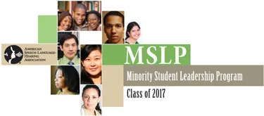 MSLP17-logo-375.jpg