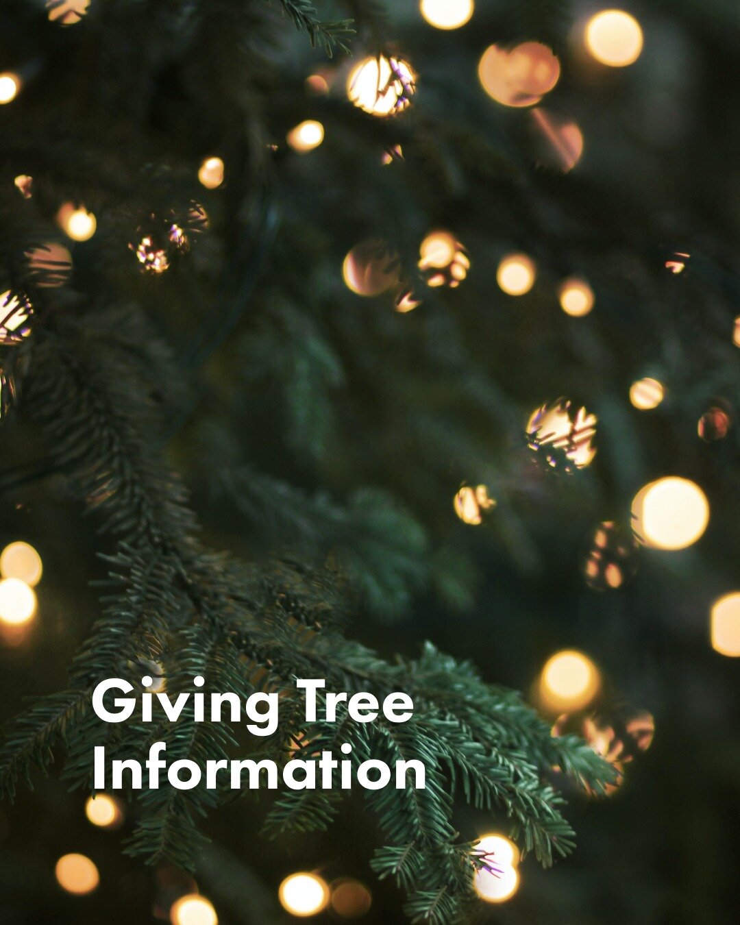 CHRISTMAS GIVING TREE
Various dates, October &ndash; December
Annual gift program for low income families

This year we&rsquo;re bringing back our vibrant, in person, Giving Tree program and we are looking forward to involving many parishioners in sh