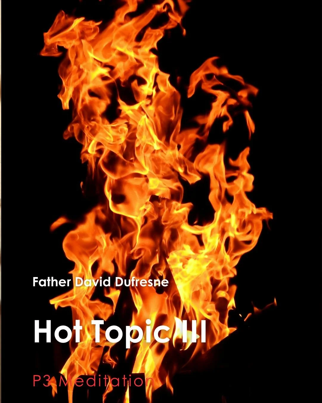 Join us for tonight's P3 Meditation given by Father David Dufresne: &quot;Hot Topic III&quot;

P3: Prayer, Penance, and Pub, which is a weekly time of Exposition of the Most Blessed Sacrament with Confession available followed by young adult pub time