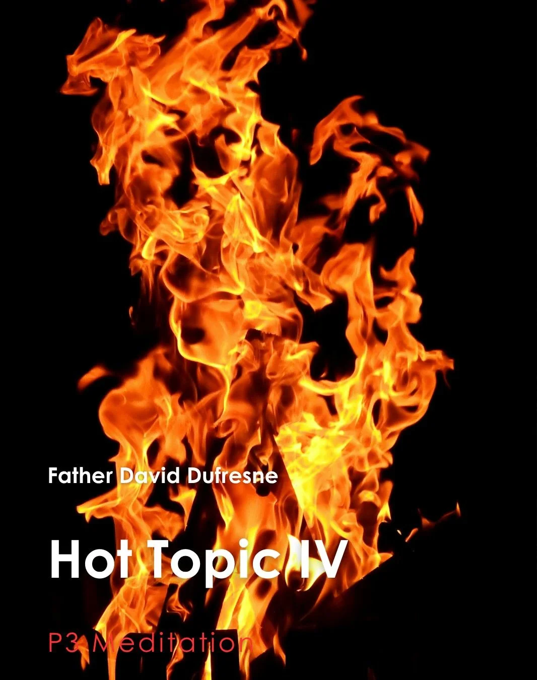 Join us for tonight's P3 Meditation given by Father David Dufresne: &quot;Hot Topic IV&quot;

P3: Prayer, Penance, and Pub, which is a weekly time of Exposition of the Most Blessed Sacrament with Confession available followed by young adult pub time.