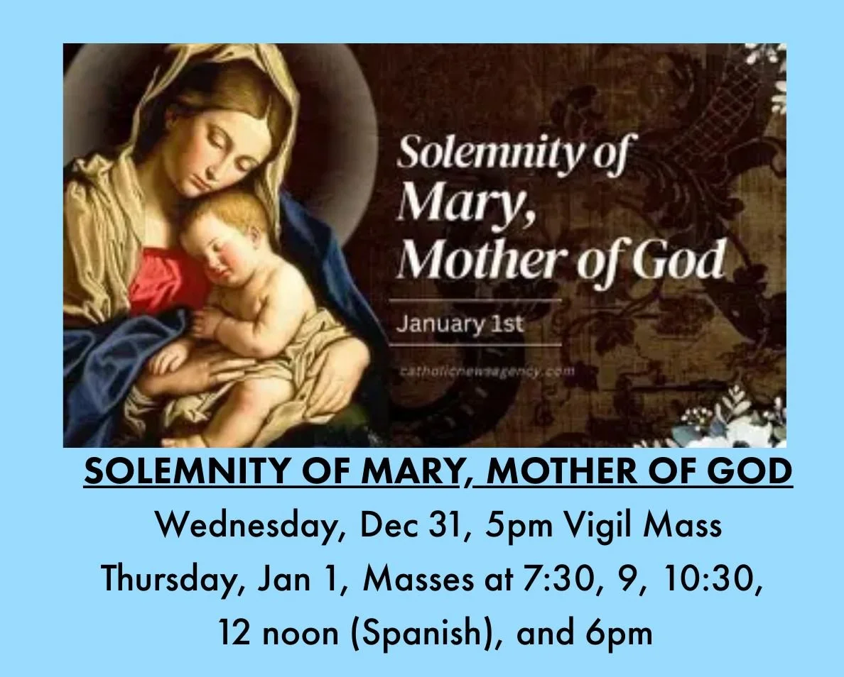 Begin the new year by honoring Our Lady on the upcoming Holy Day of Obligation - The Solemnity of Mary, the Mother of God.
