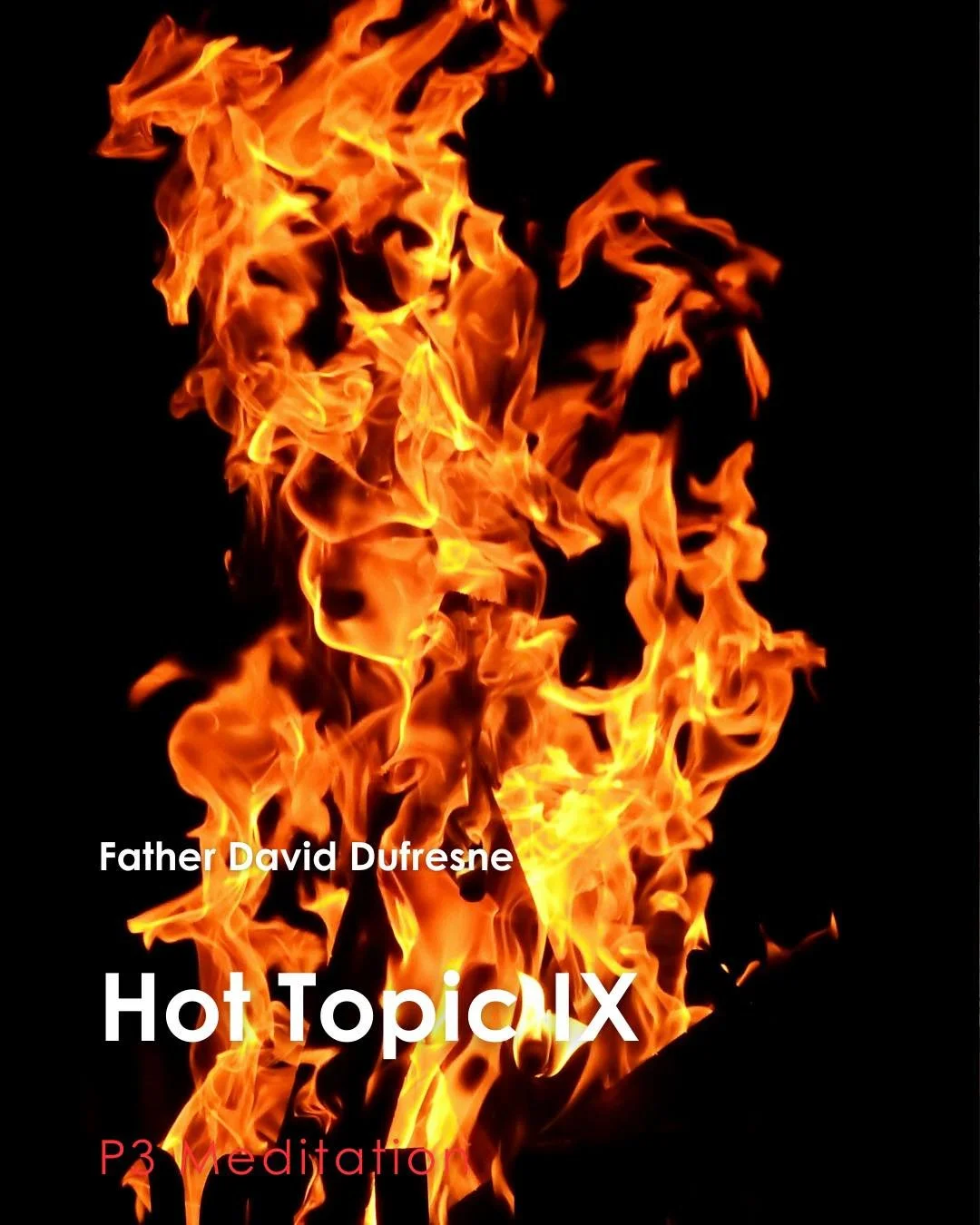 Join us for tonight's P3 Meditation given by Father David Dufresne: Hot Topic IX

P3: Prayer, Penance, and Pub, which is a weekly time of Exposition of the Most Blessed Sacrament with Confession available followed by young adult pub time. 

Each Wedn