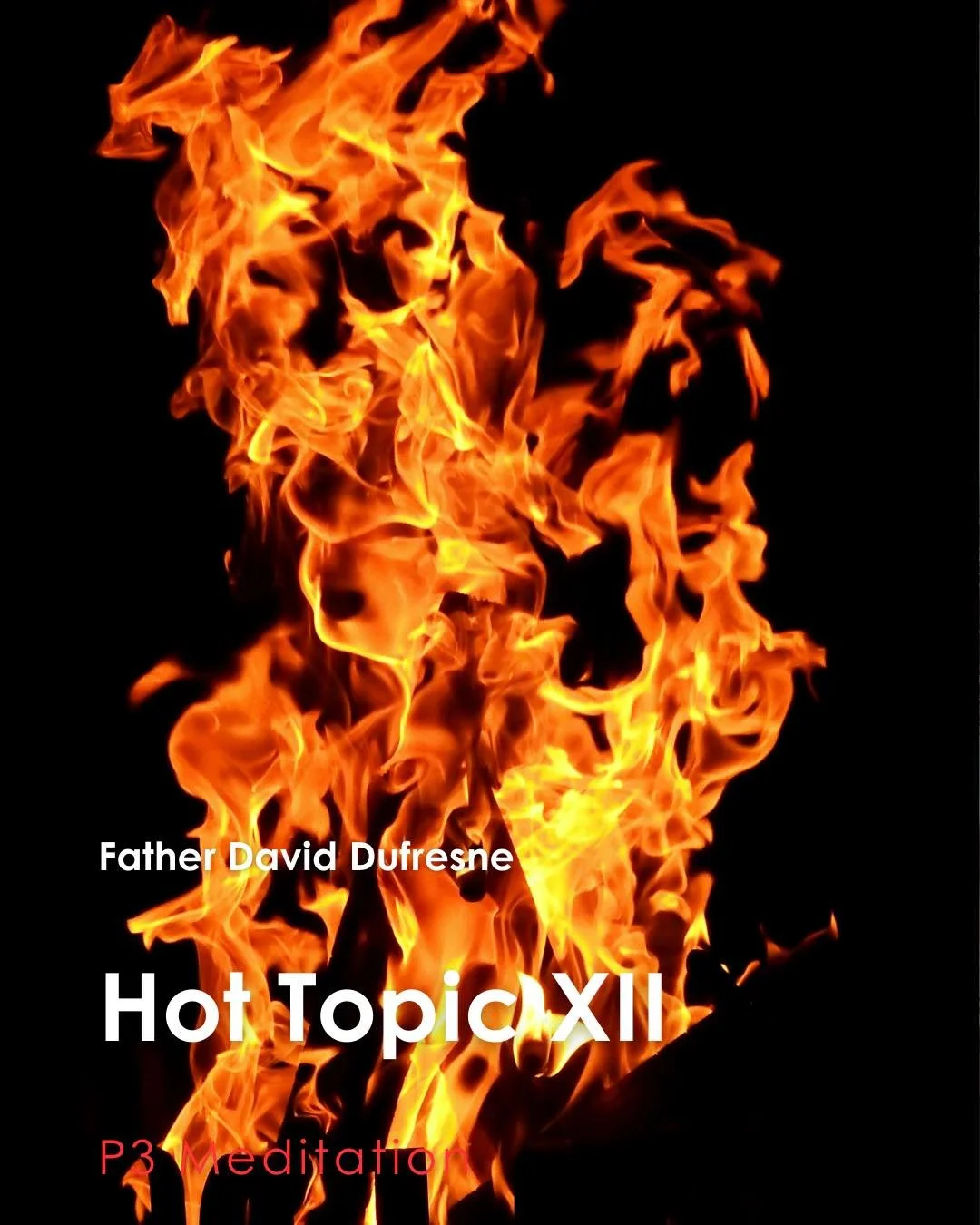 Join us for tonight's P3 Meditation given by Father David Dufresne: Hot Topic XII

P3: Prayer, Penance, and Pub, which is a weekly time of Exposition of the Most Blessed Sacrament with Confession available followed by young adult pub time. 

Each Wed