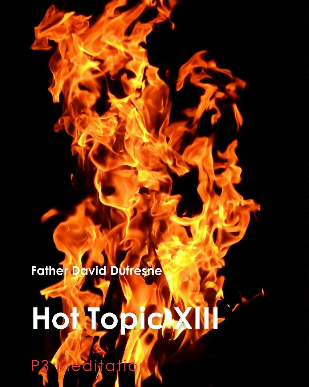 Join us for tonight's P3 Meditation given by Father David Dufresne: &ldquo;Hot Topic XIII&rdquo;

P3: Prayer, Penance, and Pub, which is a weekly time of Exposition of the Most Blessed Sacrament with Confession available followed by young adult pub t