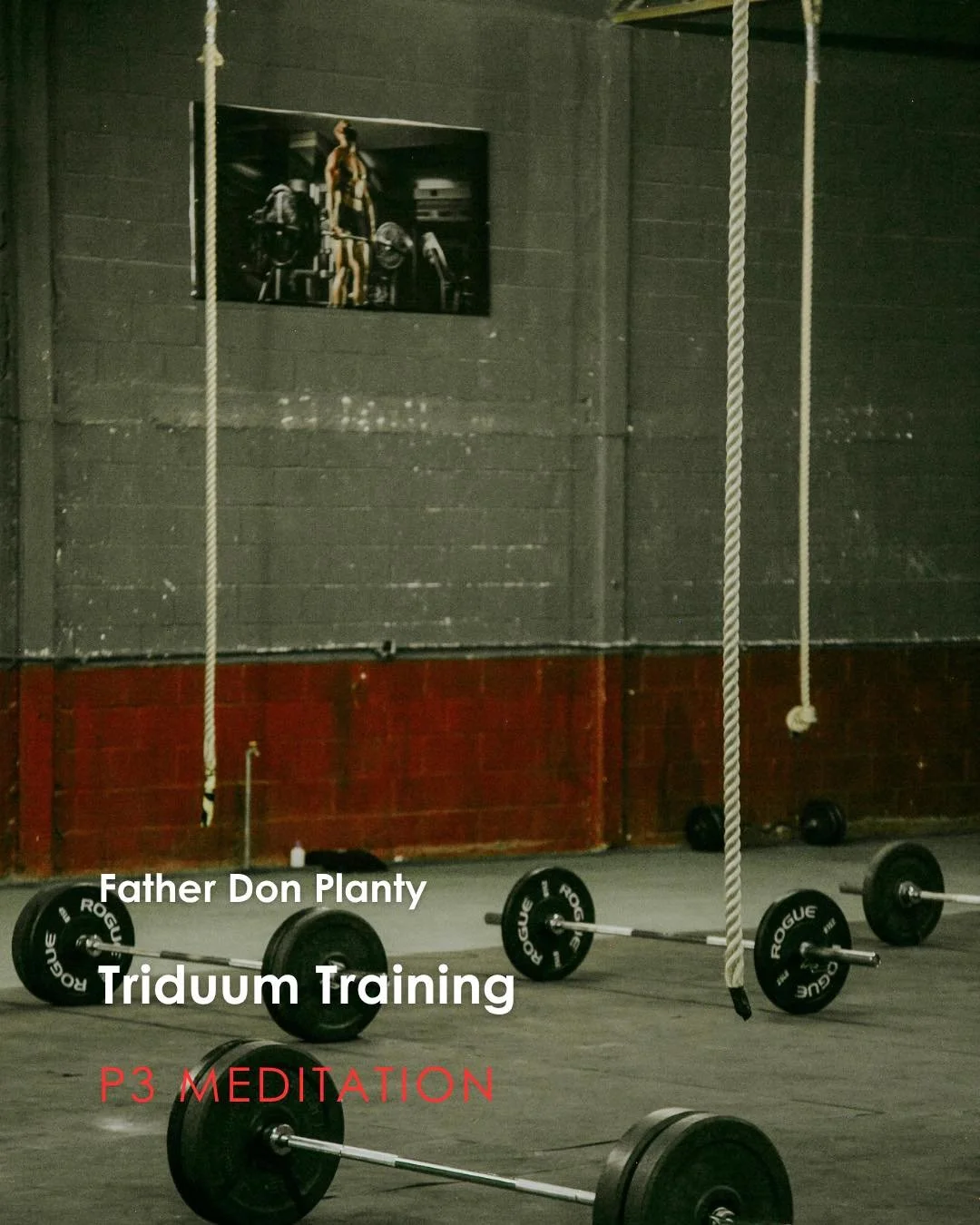 Join us for tonight's P3 Meditation given by Father Don Planty: &ldquo;Triduum Training&rdquo;

P3: Prayer, Penance, and Pub, which is a weekly time of Exposition of the Most Blessed Sacrament with Confession available followed by young adult pub tim