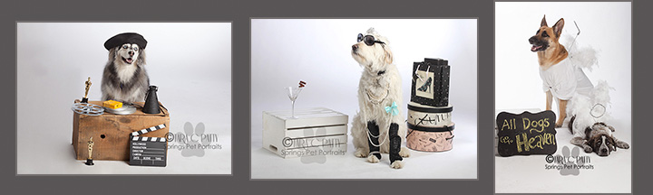  Movie Director Breakfast at Tiffany's All Dogs Go To Heaven