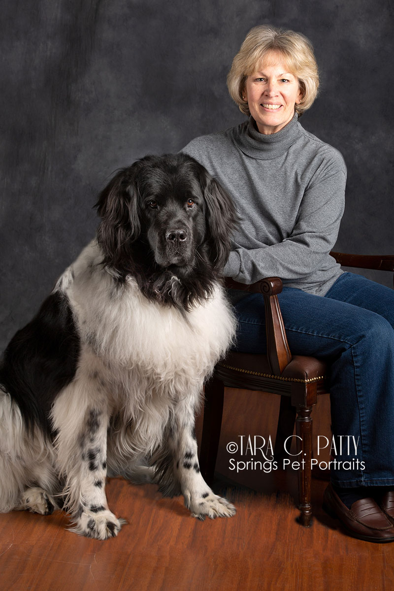 Owner and Newfoundland dog pictures in Colorado Springs