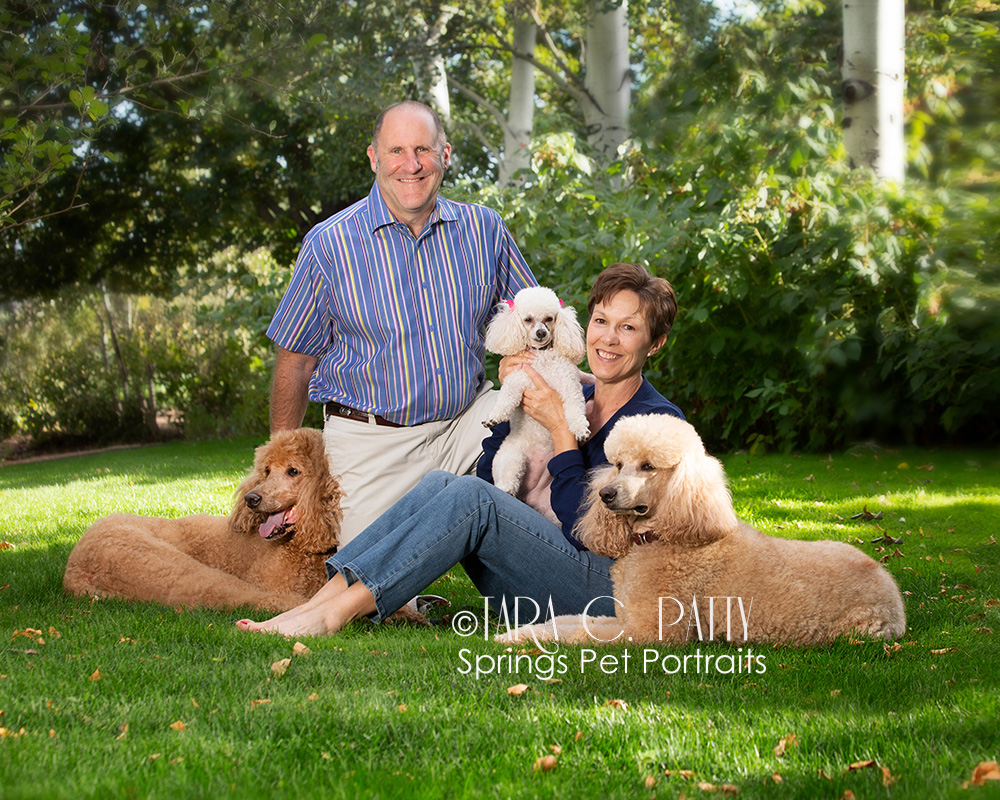 Outdoor dog and owner portraits in Colorado Springs