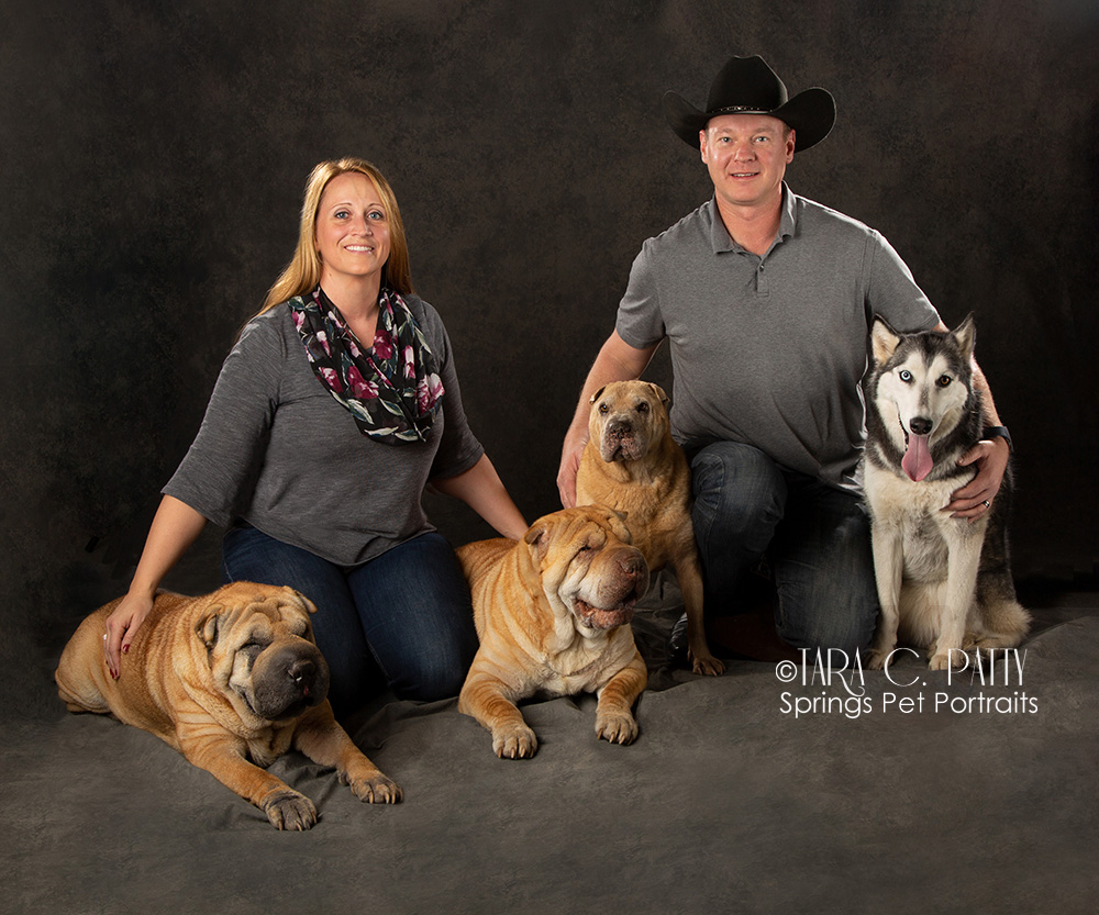 Dog and owner photos in Colorado Springs