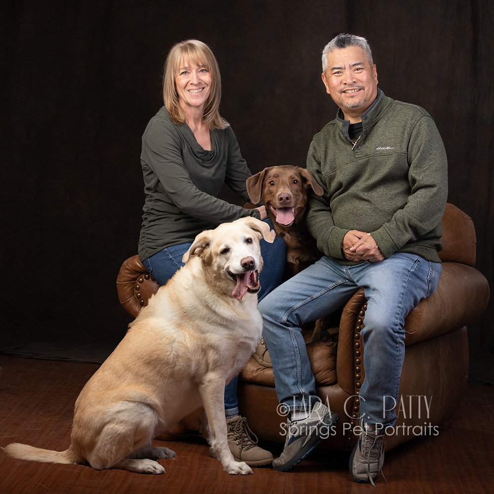 couple-with-two-labs-dog-and-owner-portraits-in-Colorado-Springs.jpg