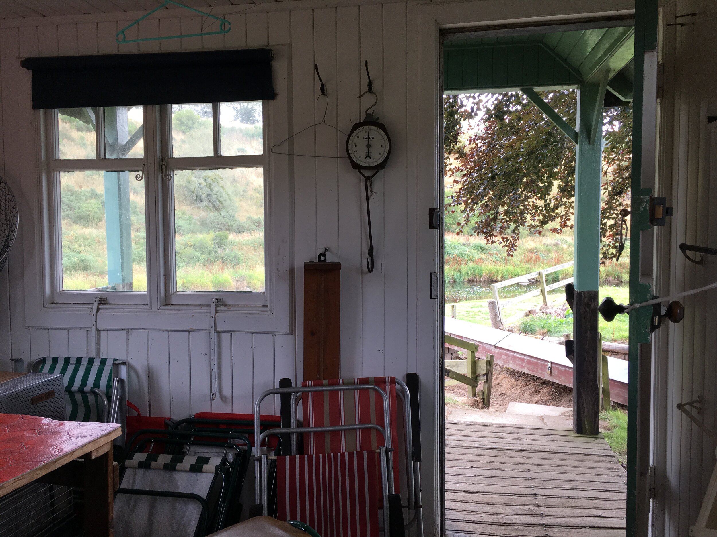 IMG_3140.jpeg