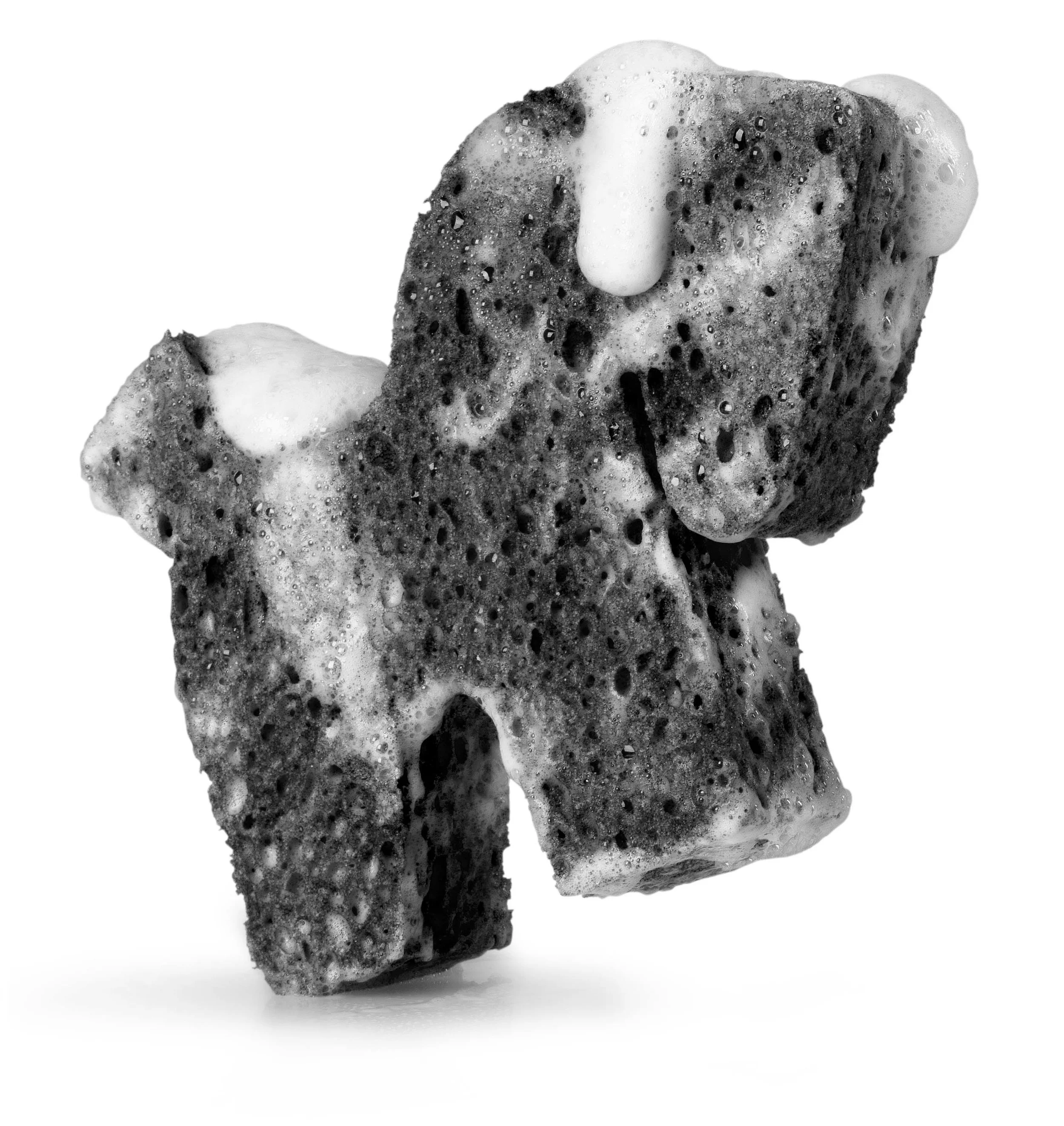 Sponge_Soap_BLK_1.jpg