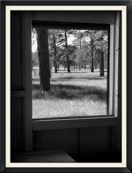 "Window" (Diablo Trust archives)