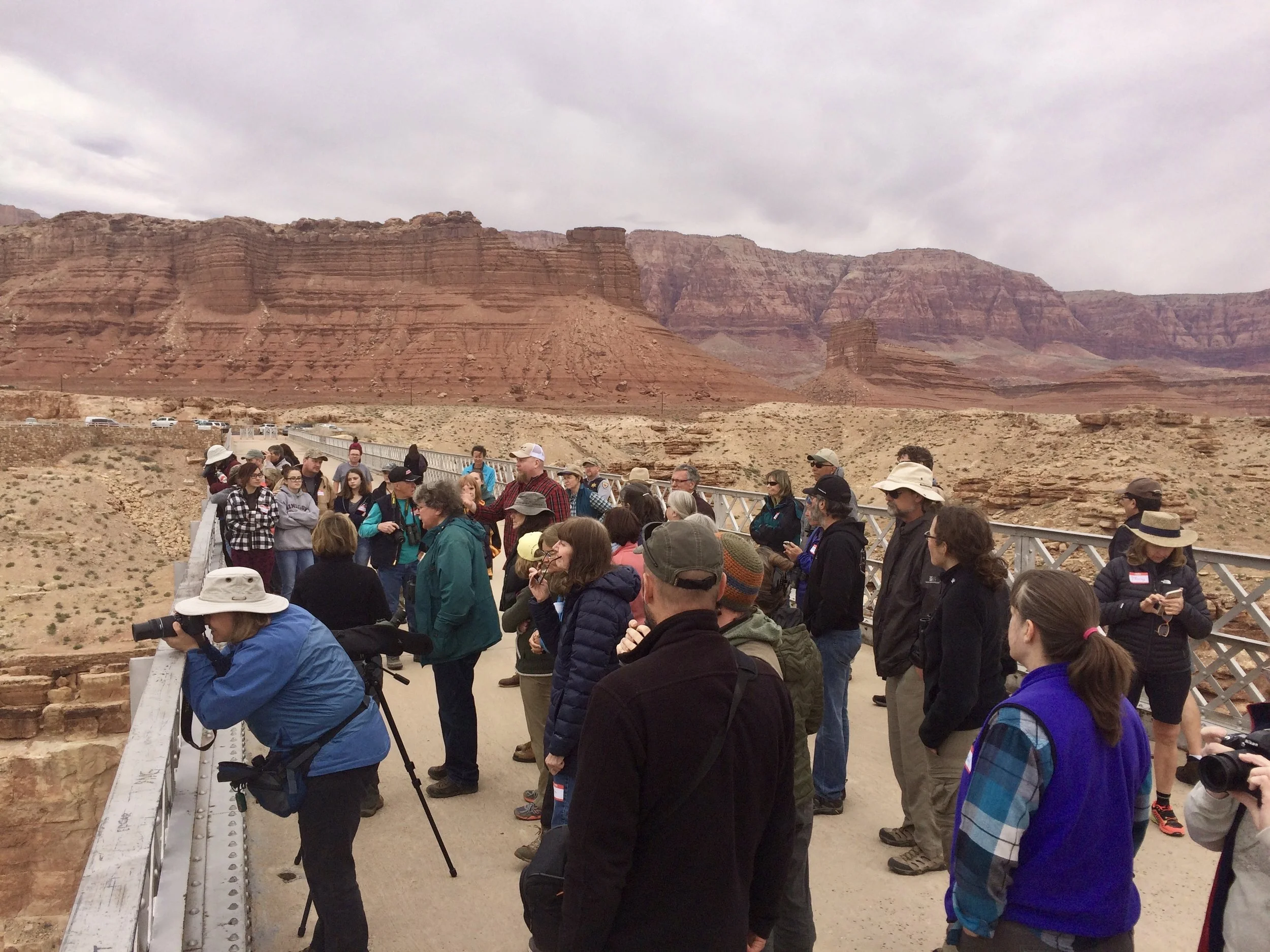 The Crowd
