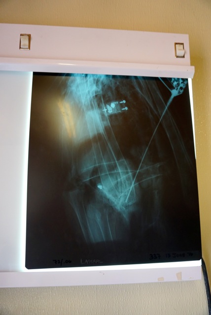 X-Ray