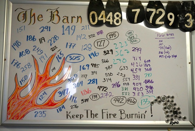 The Board