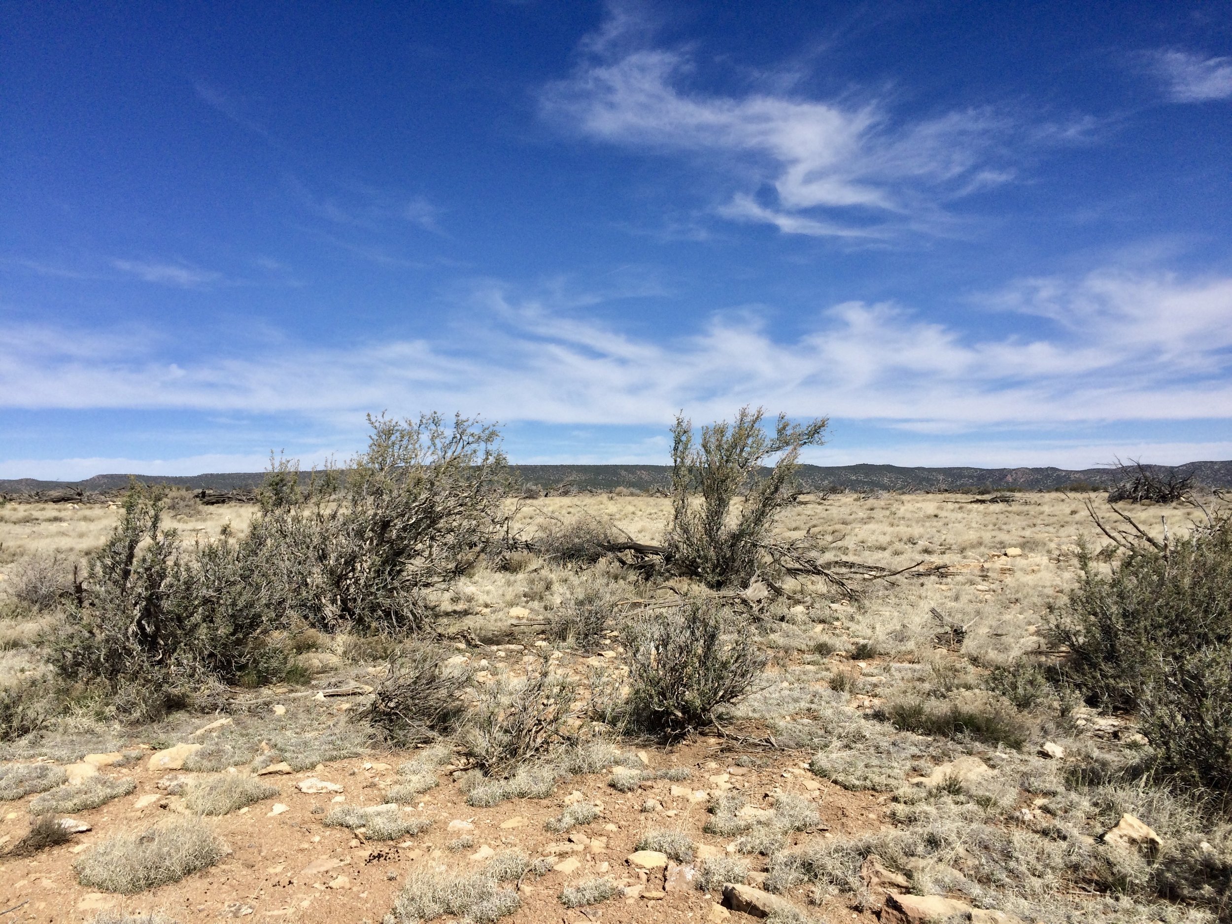 FRSG Monitoring: Clear Creek Ranch