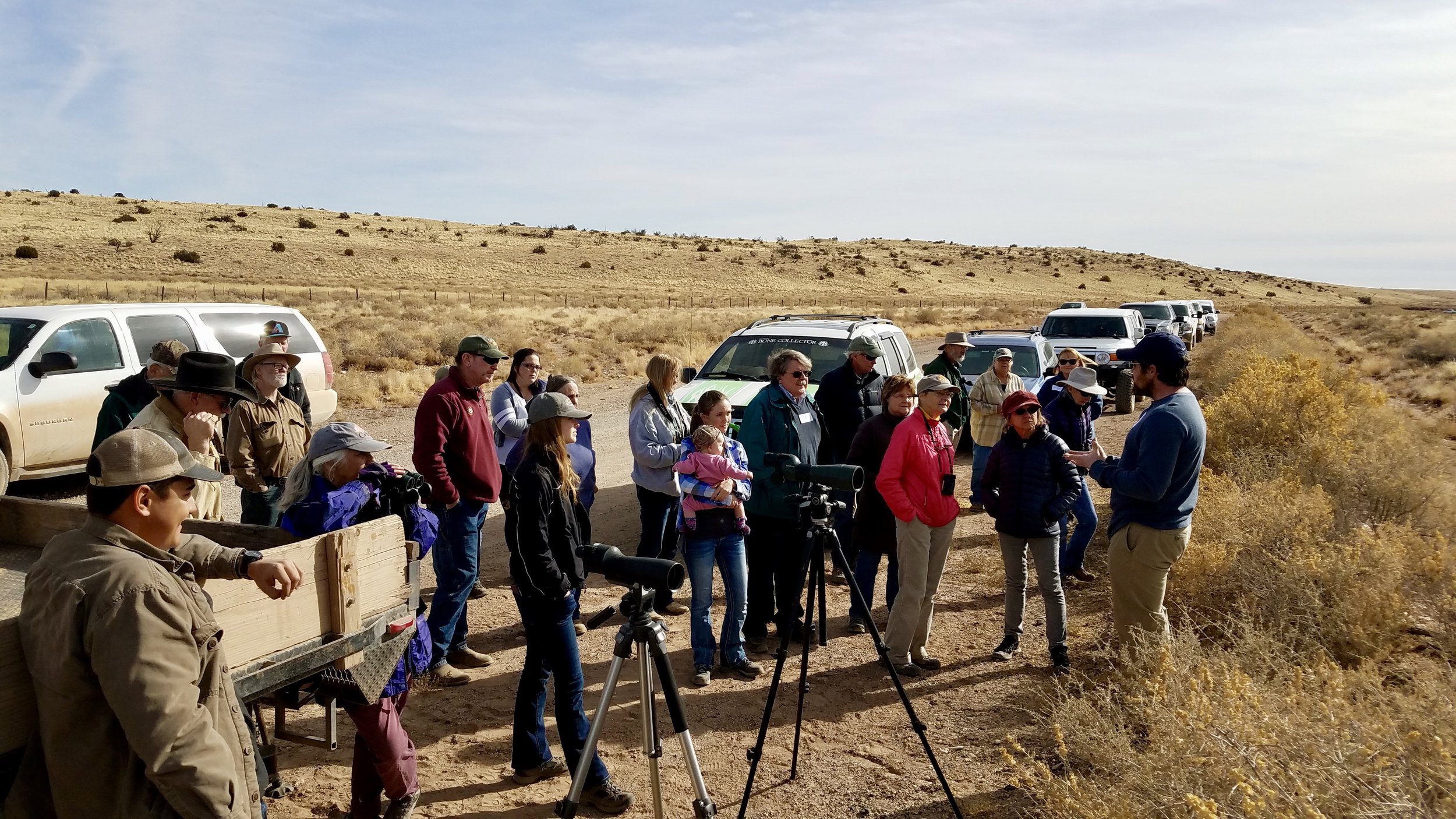 We drove down the road a bit to see the herd, with spotting scopes and binoculars.