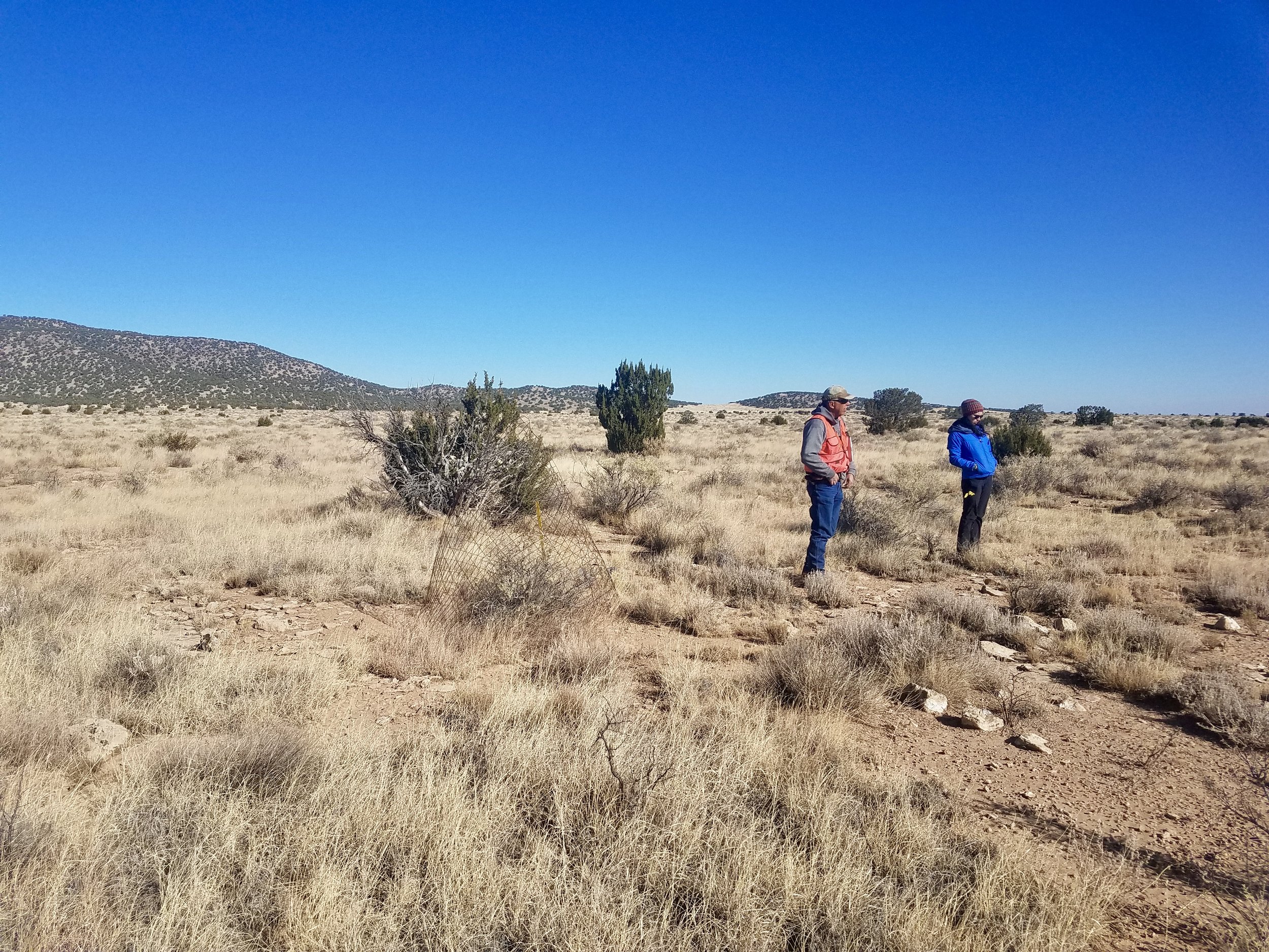 FRSG Monitoring: Flying M Ranch