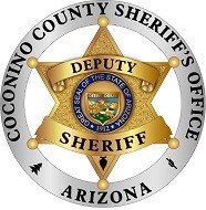Deputy Badge.jpg