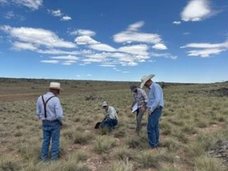 Reflection: Forage Resource Study Group