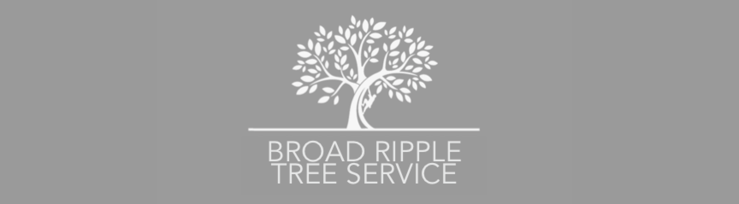 Broad Ripple Tree Service - Indianapolis, IN Arborist Tree Care Professionals