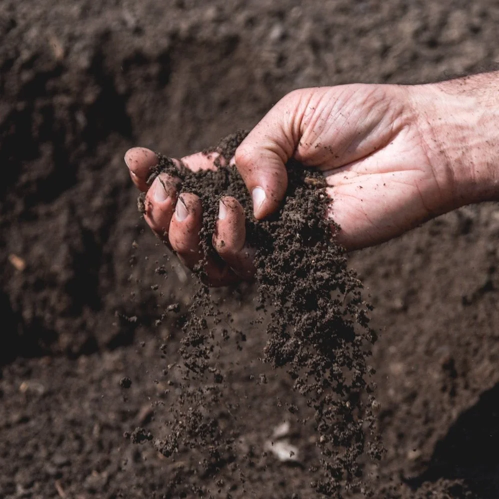 Hands holding rich Nebraska soil, representing the compost discount benefit for Gretna Sanitation customers who receive 20% off soil and mulch through their yard waste pickup service.