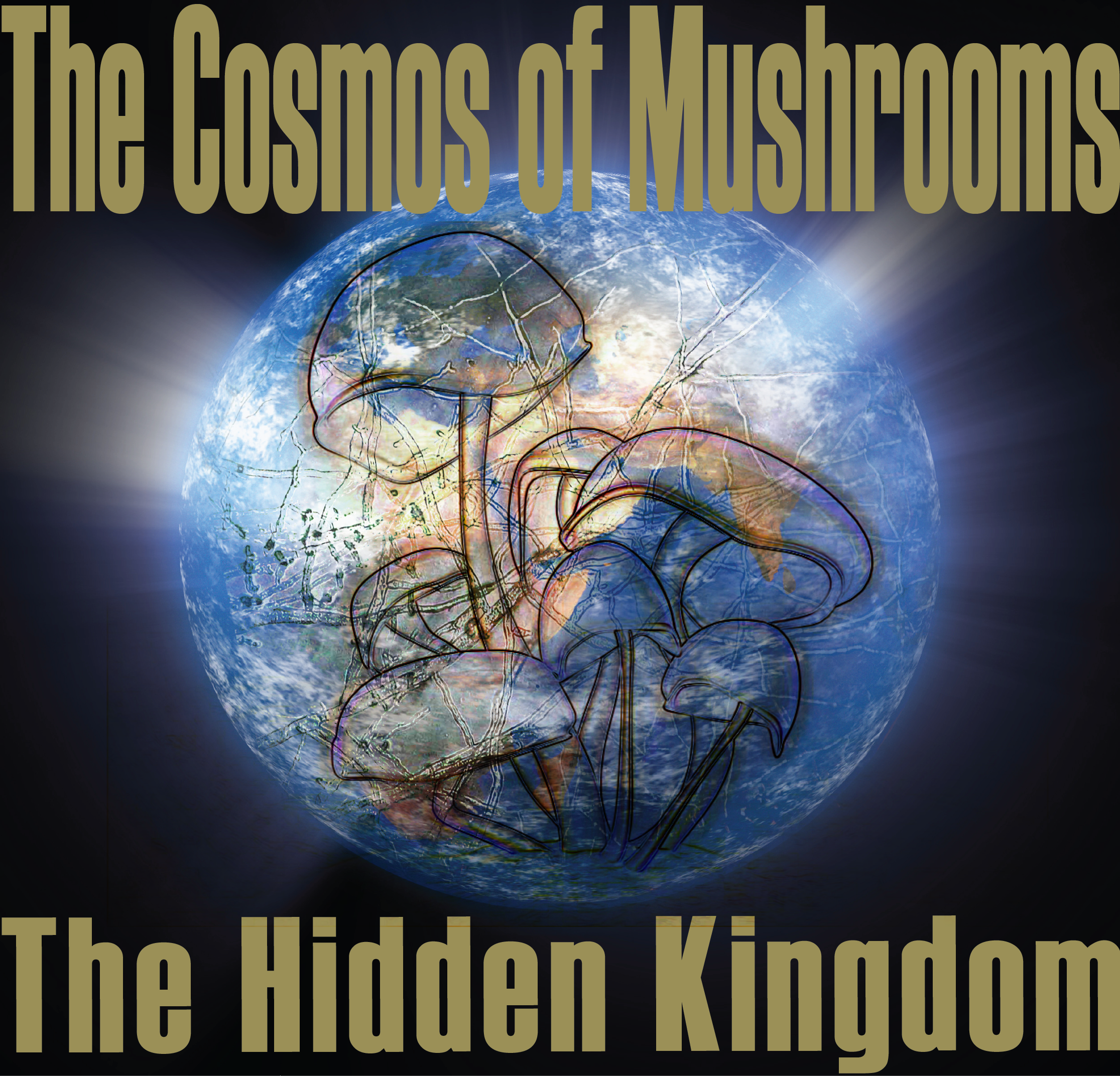 The Cosmos of Mycelium-The Hidden Kingdom-01.png.Still003.png