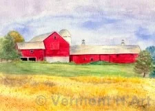 V-9570 | Vermont Summer - Charlotte