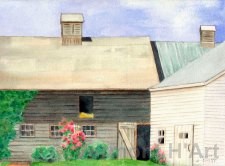 V-9576 | Vermont Summer - Essex