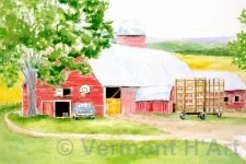 V-9588 | Vermont Summer-Georgia