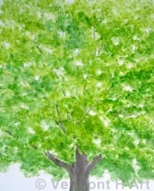 V-9618 | Vermont Maple