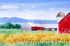 V-9644 | Vermont Summer