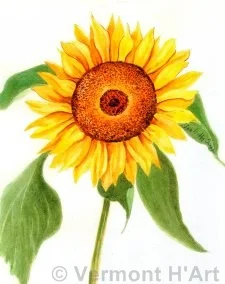 F-9510 | Sunflower II
