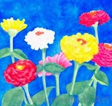F-9519 | Zinnias
