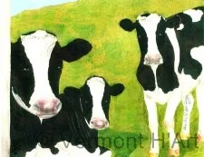 C-9550 | Cows of Vermont