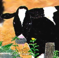 C-9555 | Cow with Golden Rod