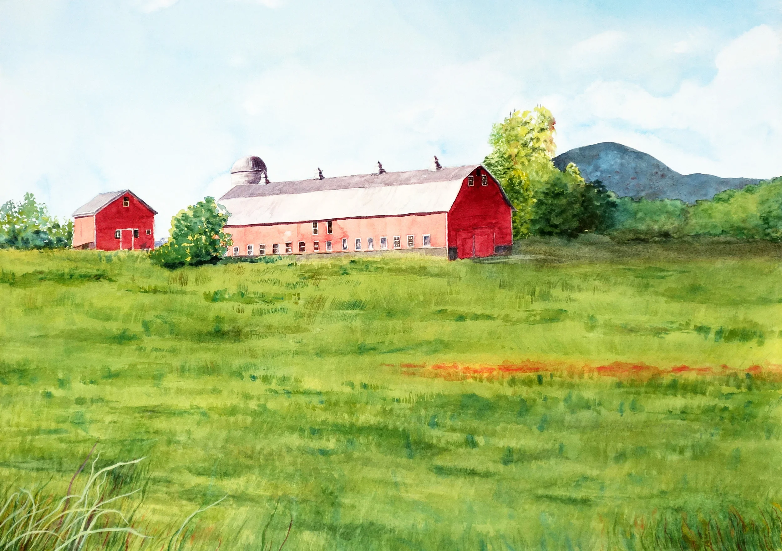 Devino Farm, Milton, VT.jpg