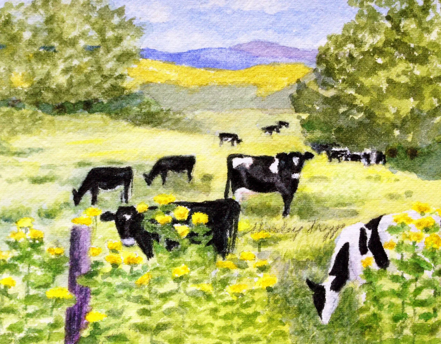 cows in pasture 2015_edited-7.jpg