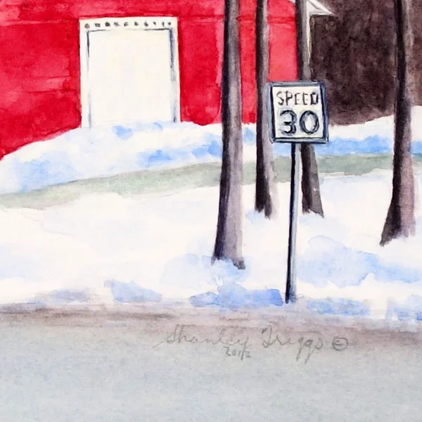 Vermont-in-March1.jpg