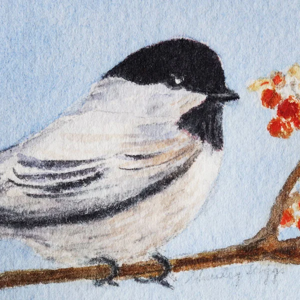 Chickadee2.jpg