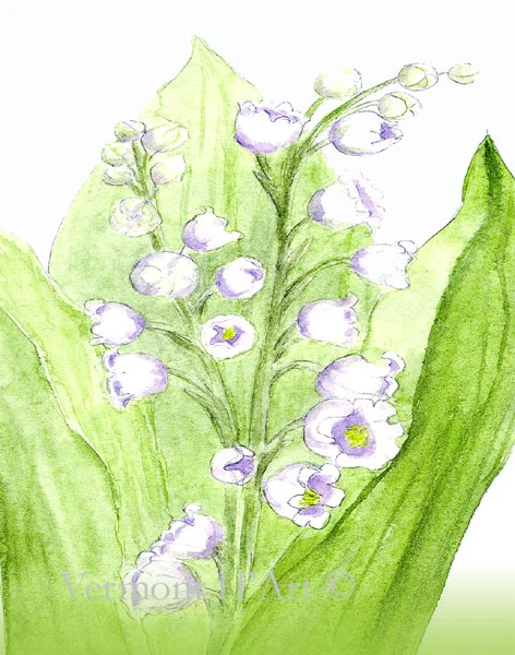 lilly of valley w.jpg