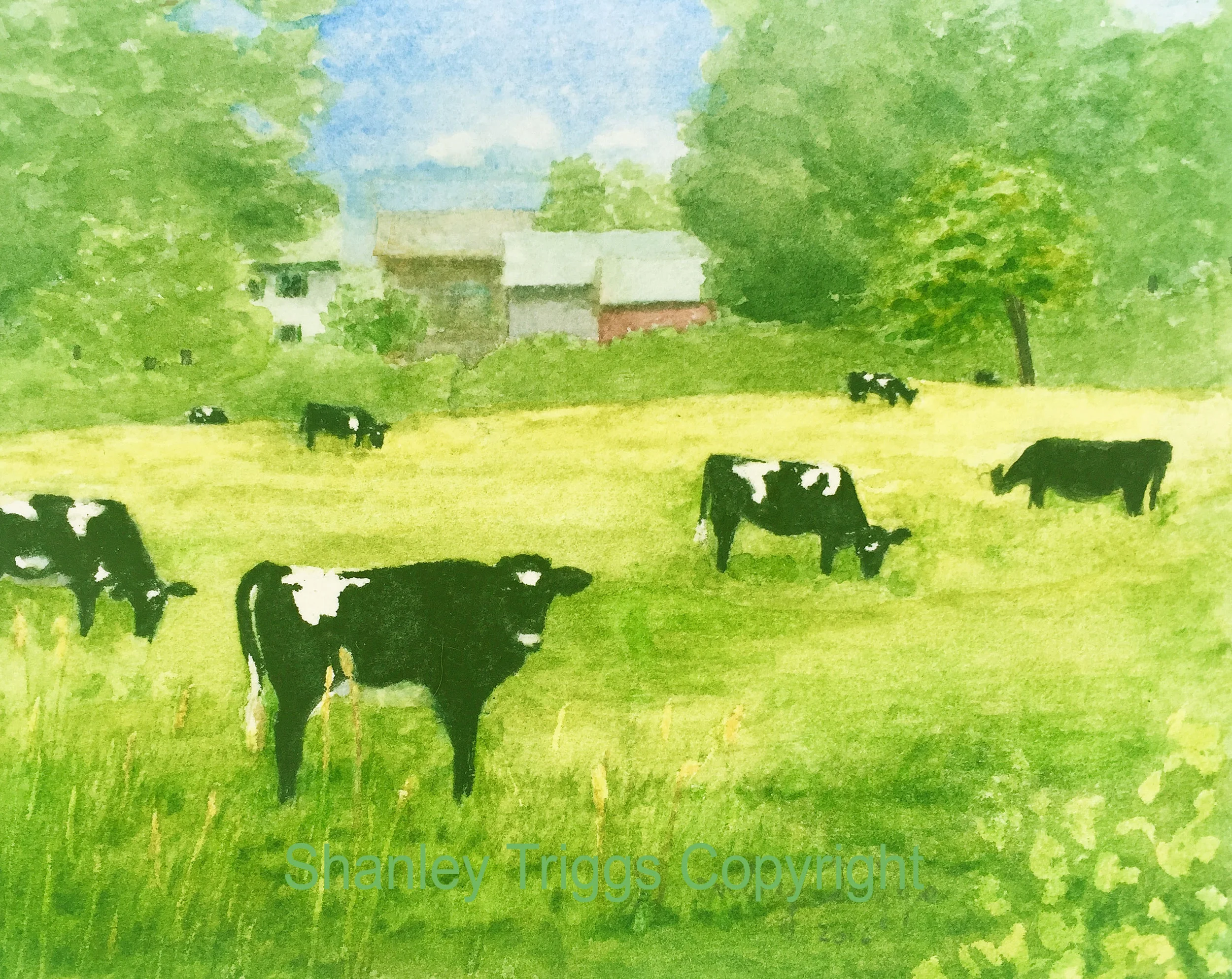 Cows in Rowley pasture_edited-1.jpg