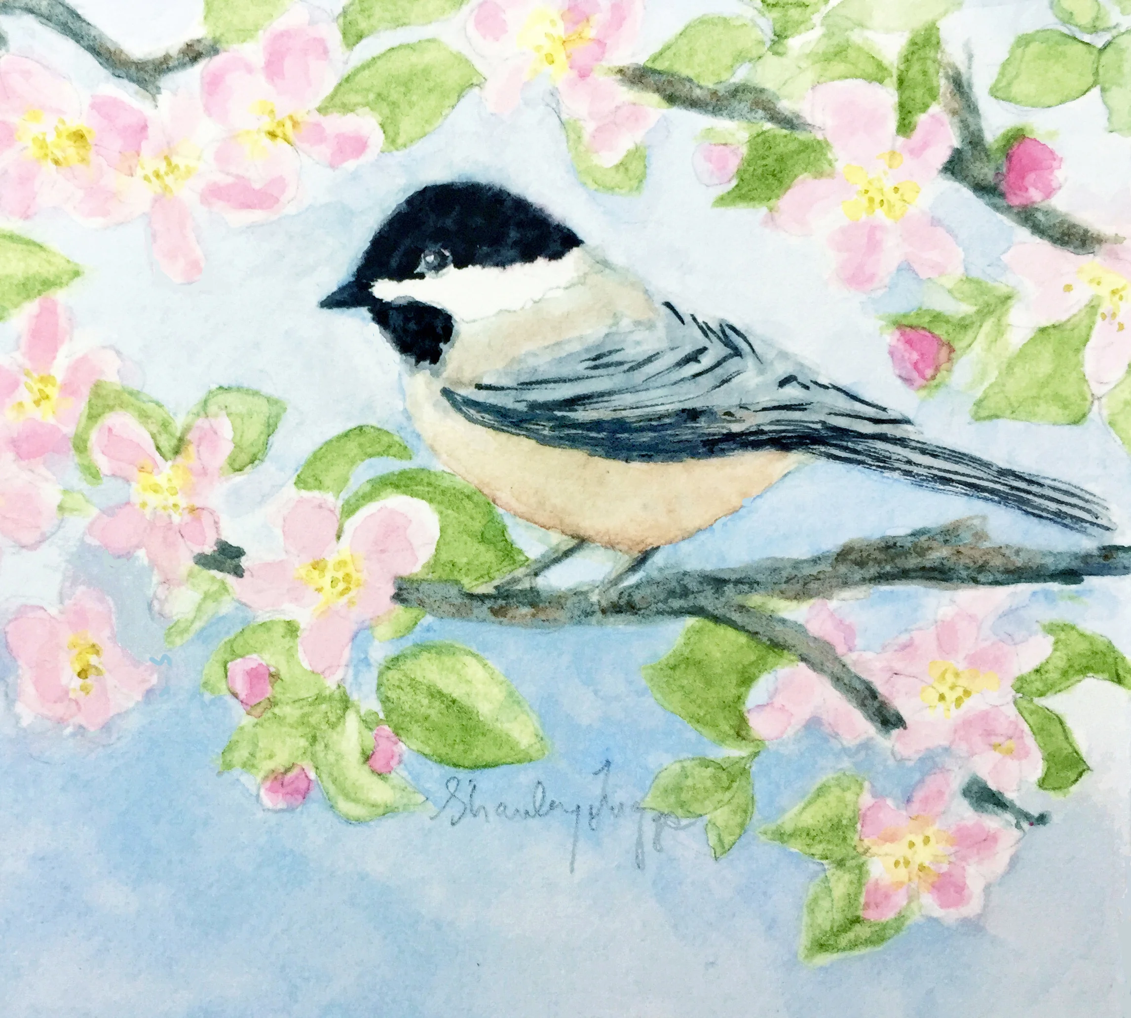 B-9814 Chickadee