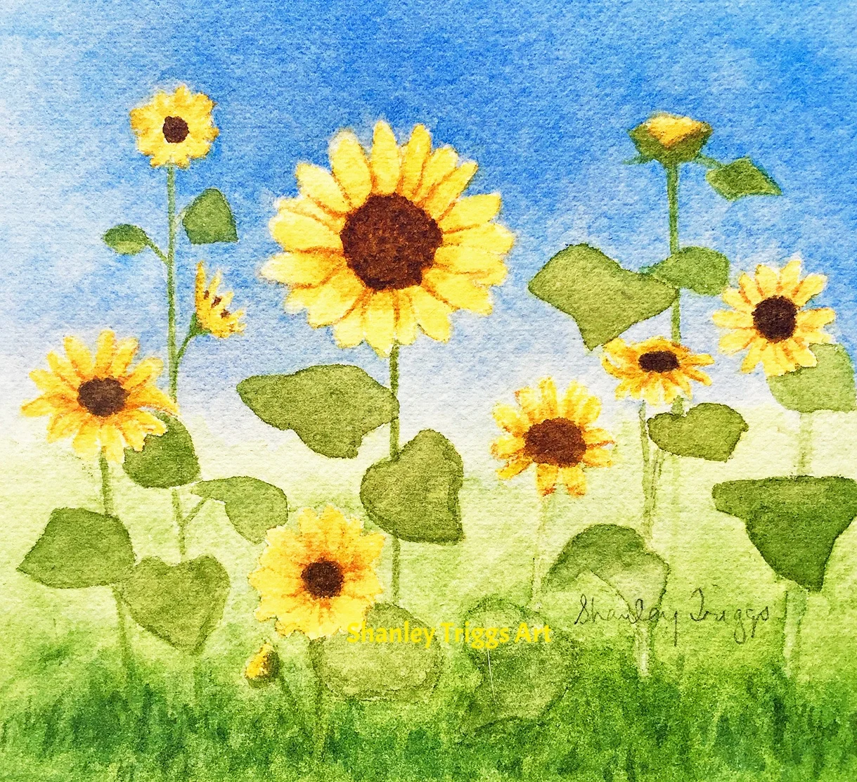 F-9809 Sunflowers