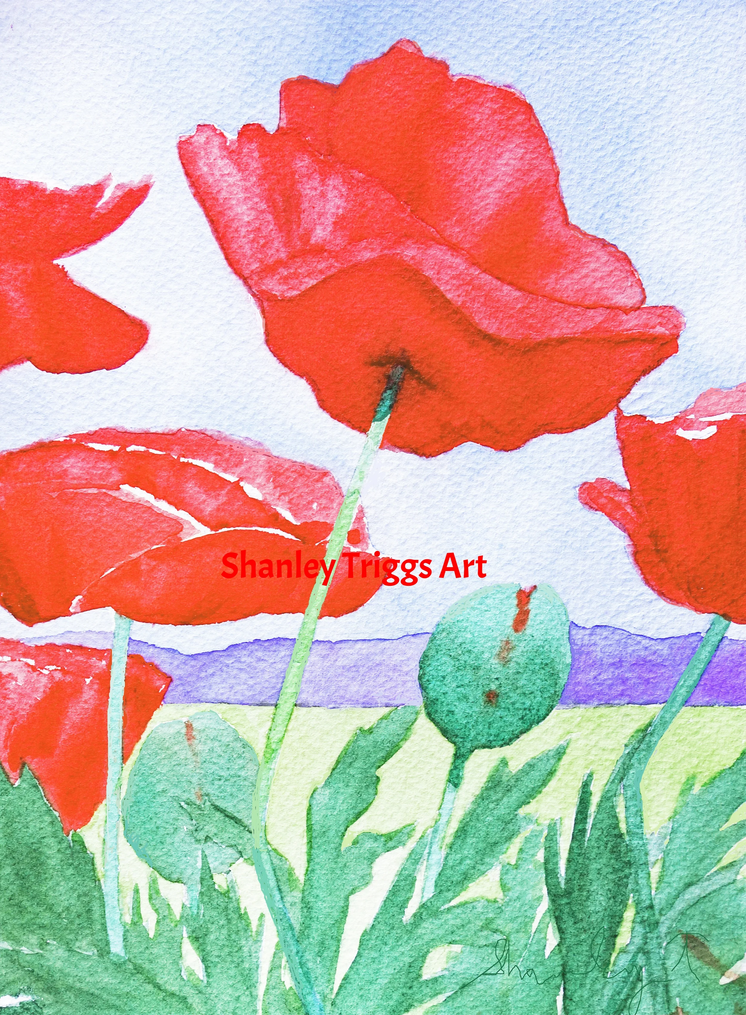 F-9807 Poppies
