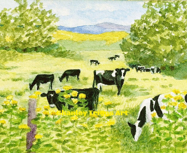 C-9802 Cows of VT