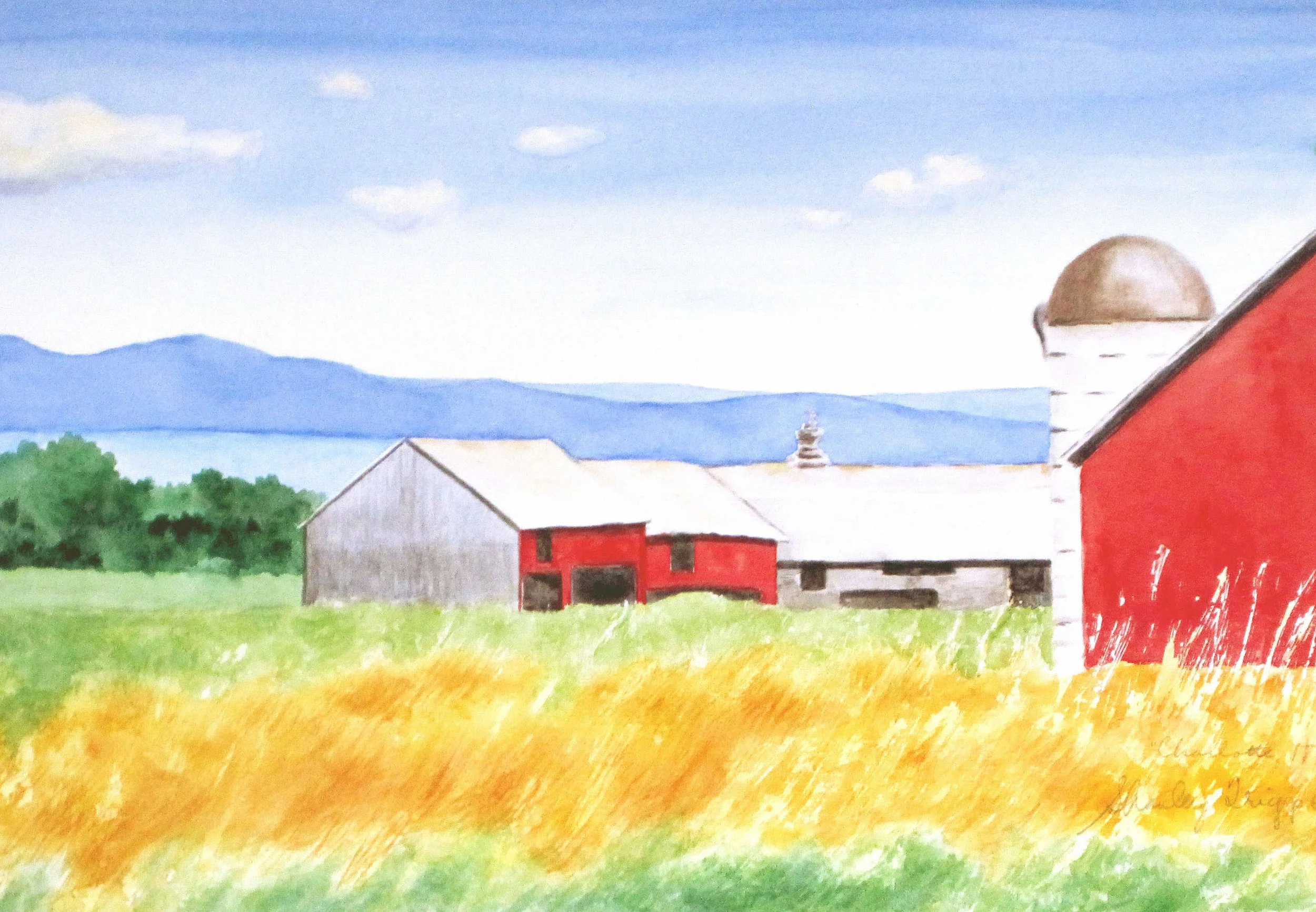 Charlotte barn 2011 for 8x 10 -1.jpg