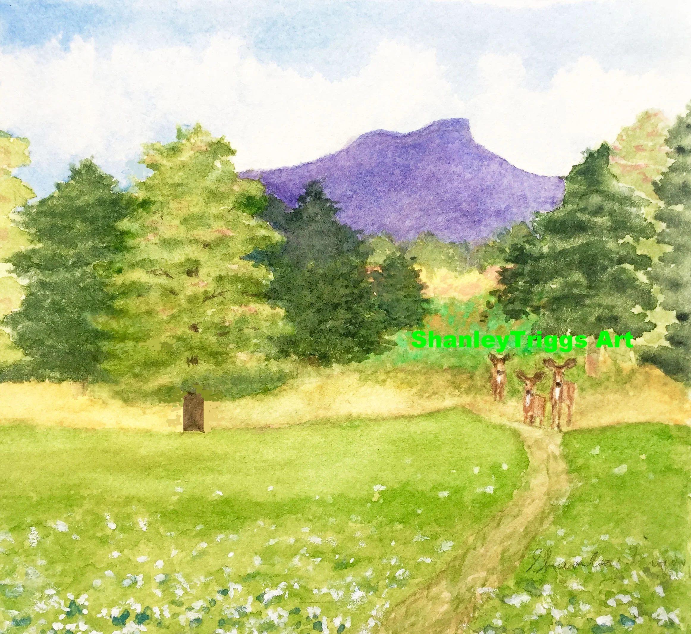 V-9833 Camel's Hump With Deer